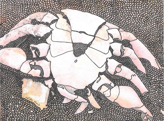 Krab I
