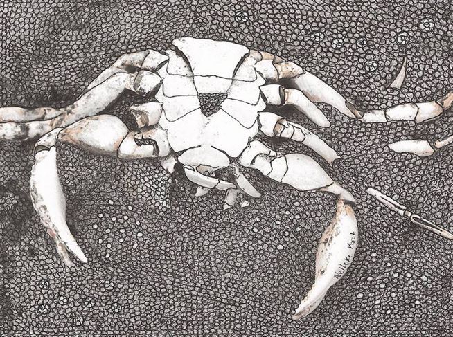 Krab II